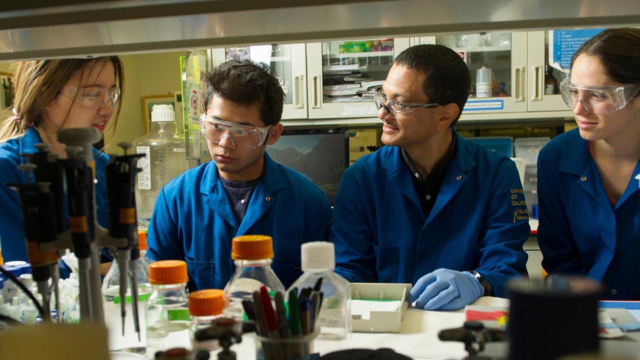 program-postbaccalaureate-research-education-program-at-uc-davis