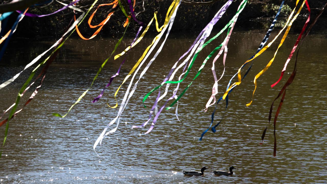 Guardians: Spirits of Protection art installation by MFA Design student Miloufar Abdolmaleki in the Arboretum on March 23, 2022.  The approach uses the Islamic traditional act of devotion is to expand knowledge fo cultural approaches to healing and hope.  Ducks swim by.