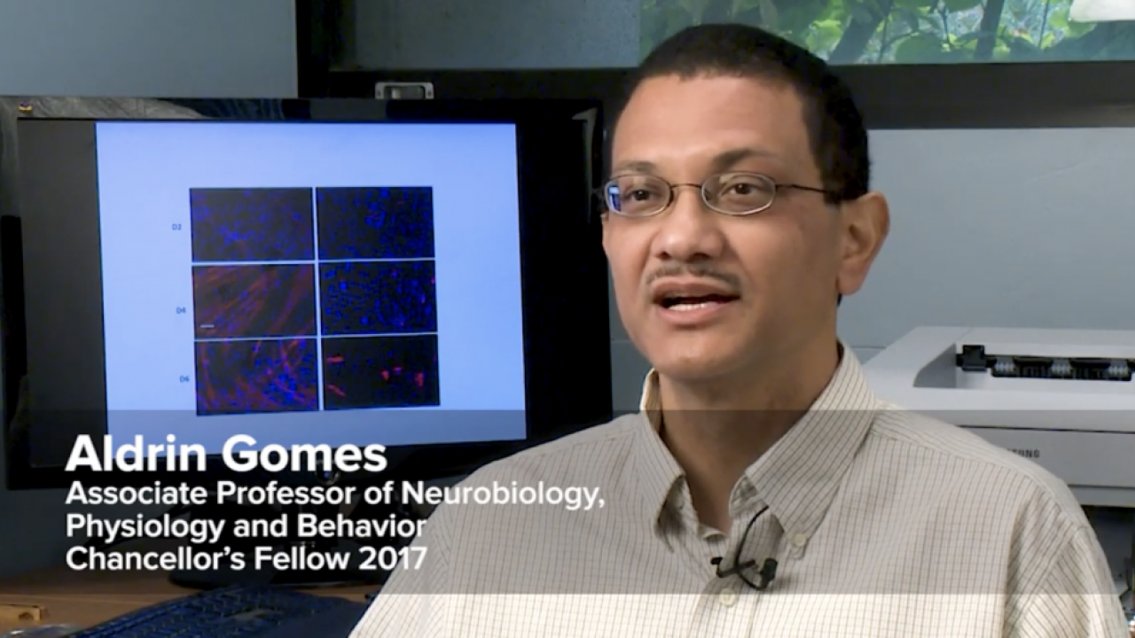 Aldrin Gomes screen capture from video