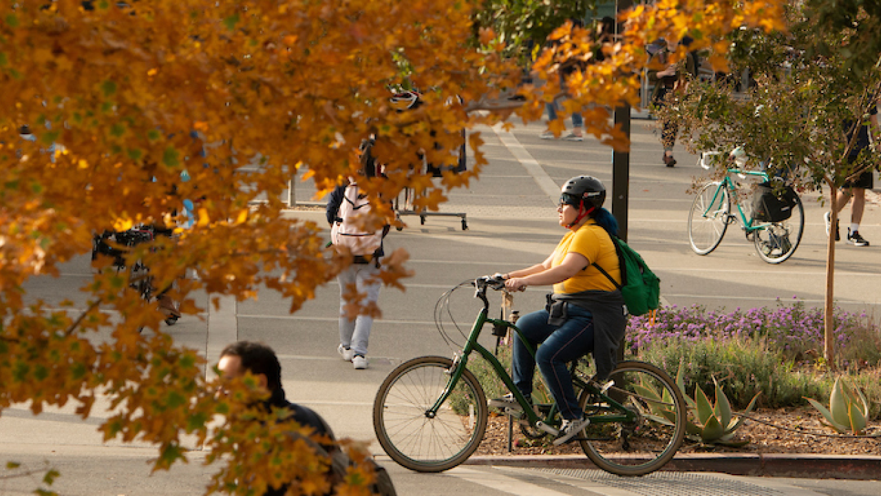 Cyclist in autumn