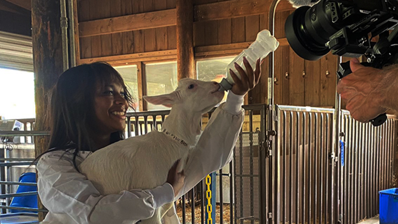 Gabby with goat, UCD College Tour