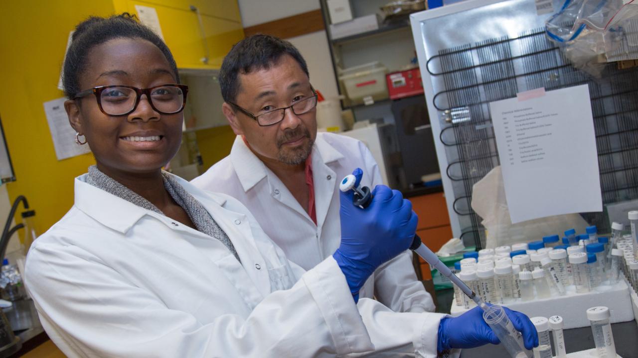 Researcher at a lab bench