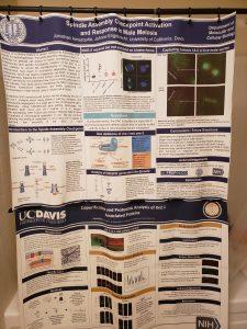shower curtain made from two scientific posters