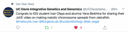 screen shot of a tweet announcing the publication of the dissection video