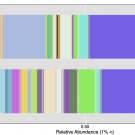 Microbiome diversity in women who produce equol and those who do not