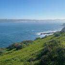 landscape along the Tomales Point trail, Point Reyes National Seashore