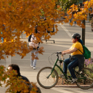 Cyclist in autumn