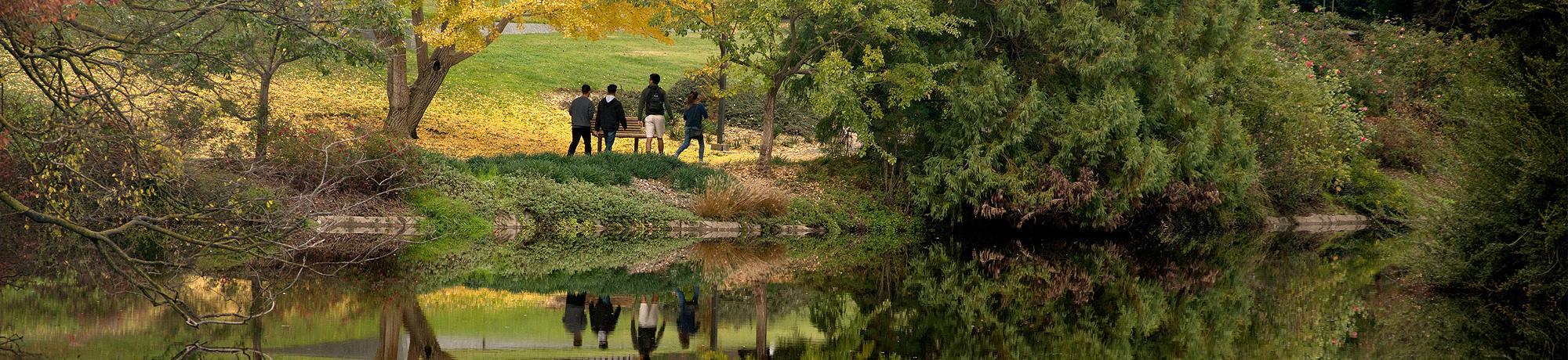Students walk along the UC Davis Arboretum