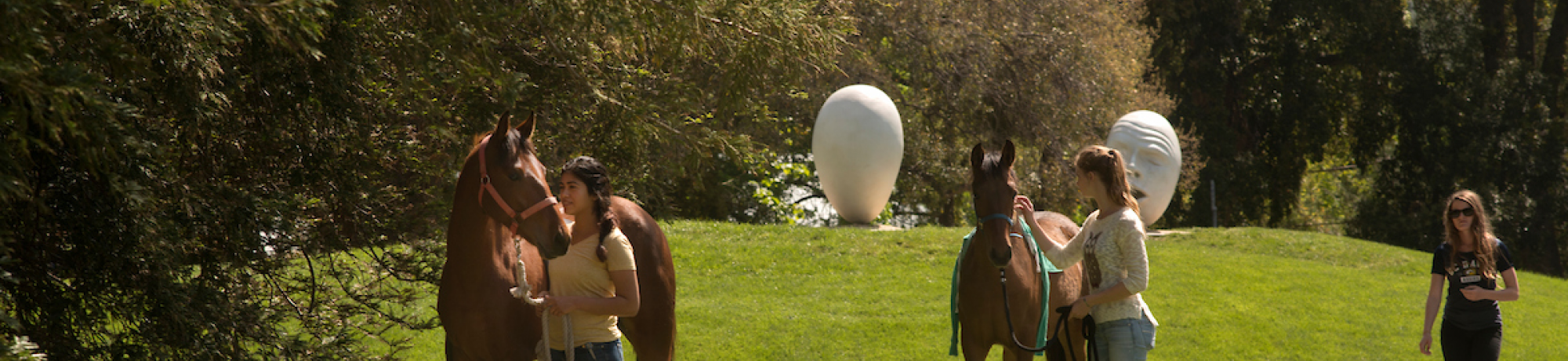 Horses near an egghead sculpture by Robert Arneson